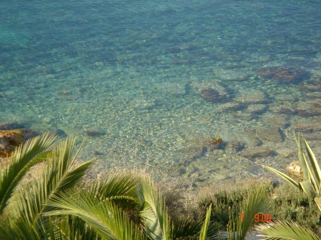 Nieves Holiday home